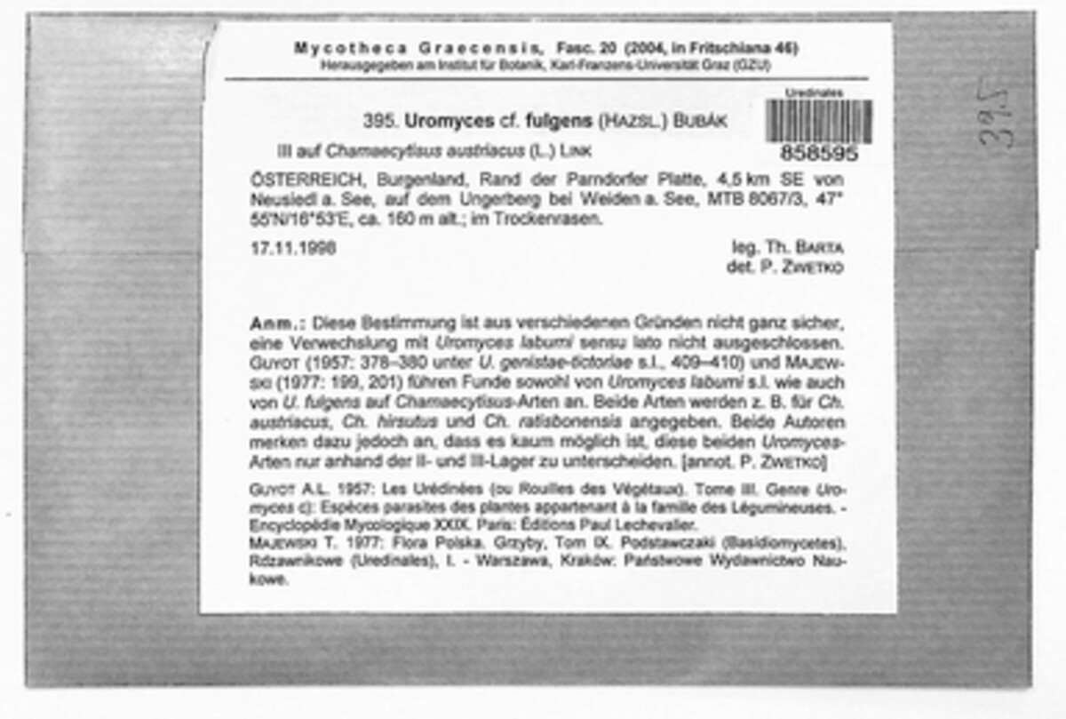 Uromyces image